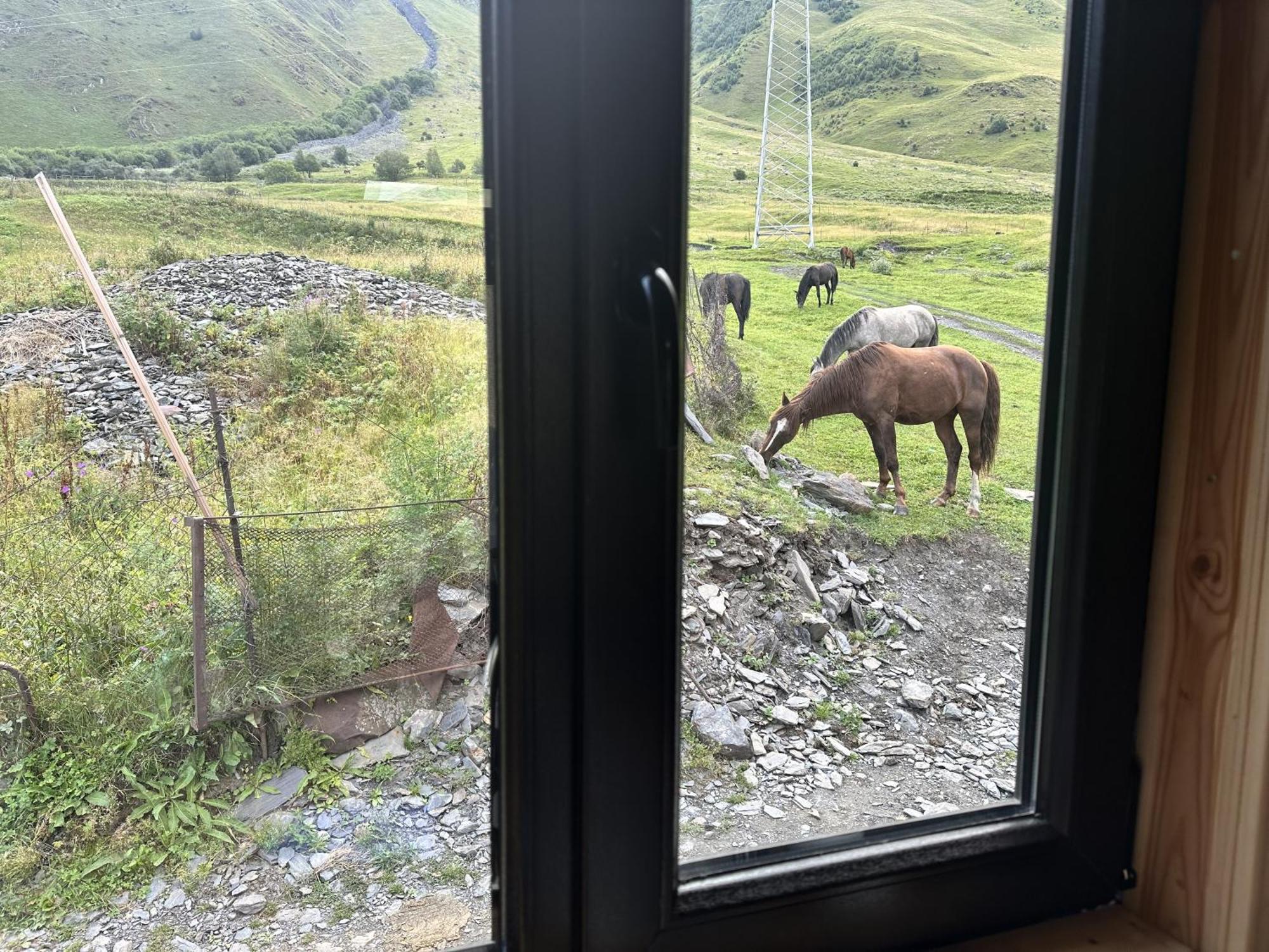 A&B Cottages Kasbegi Buitenkant foto